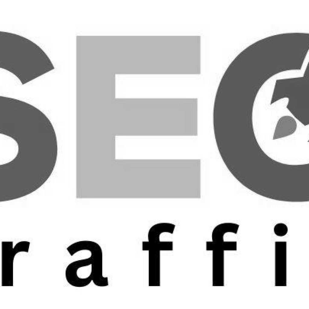 599Drive SEO Website Traffic Daily